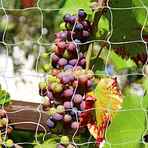 Tcamp Heavy-Duty Polyester Garden Trellis Netting Plant Climbing Net for Growing Vines Plants Vegetables Fruits Flowers, White Grow Tent (4.9Ft x15Ft, 3.5" Opening Mesh, 1 Pack Plant Net)