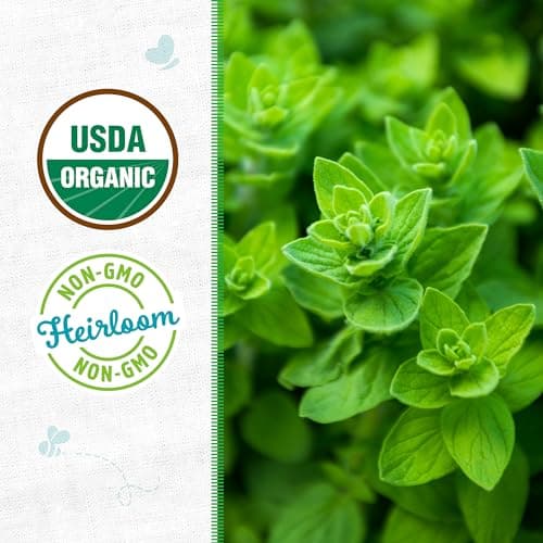 Back to the Roots - 100% Organic Seed Packet - Oregano 'Italian' 70mg