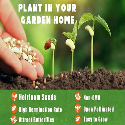 6 Types Mix Fruit Seeds for Planting Outdoor-100 Grape &100 Apple & 100 Kiwi & 10 Cherimoya &10 Mulberry & 20 Cherry Seeds Non-GMO Heirloom Fruit Seeds Sweet and Delicious