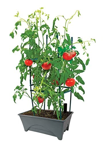 Emsco Group Start Pickin' Raised Bed Grow Box – Self Watering and Improved Aeration – Starter Box or Small Herb Garden Growing - 10" Bed - 12x20 Growing Area - Slate