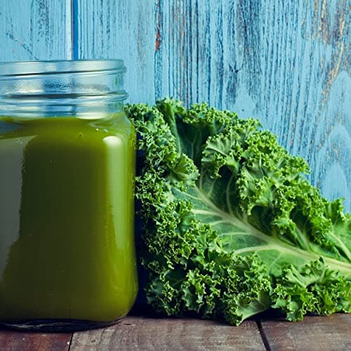 Organic Kale Seeds (Vates Blue Scotch Curled) - Approx 500 Seeds - USDA Organic, Non-GMO, Open Pollinated, Heirloom, USA Origin
