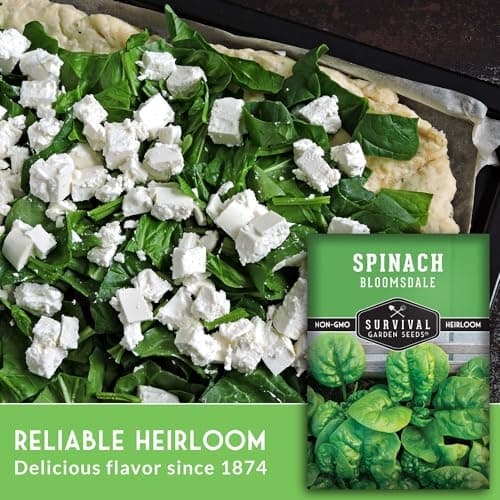 Survival Garden Seeds - Bloomsdale Spinach Seed for Planting - Packet with Instructions to Plant and Grow Delicious Spinach Greens in Your Home Vegetable Garden - Non-GMO Heirloom Variety - Plant Seed