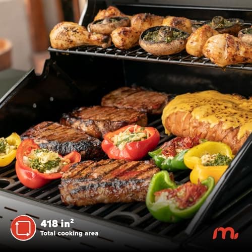2-Burner Propane Barbecue Gas Grill with Foldable Side Tables, Perfect for Camping, Outdoor Cooking, Patio, Garden Barbecue Grill, 28000 BTUs, Silver and Black, 720-0864MA