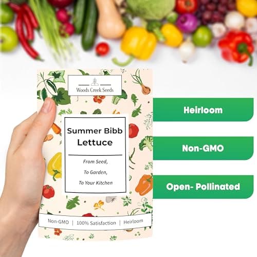 Summer Bibb Heirloom Lettuce Seeds for Planting - Over 2,700 Non-GMO Seed Pack for Growing Indoors, Outdoors, or as Hydroponic Seeds - Beginner-Friendly Green Leaf Lettuce Seed