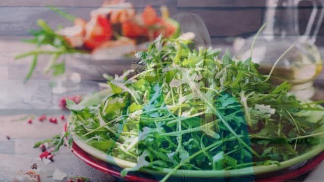 Survival Garden Seeds - Arugula Seeds for Planting - 1 Pack with Instructions to Grow Garden Rocket Green Leafy Vegetables in Your Home Vegetable Garden - Non-GMO Heirloom