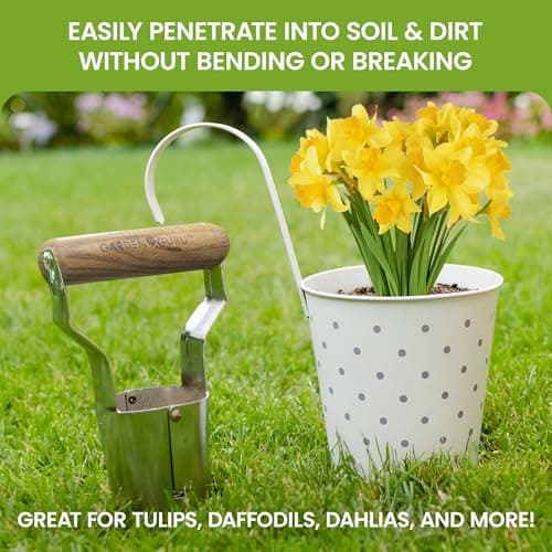 Garden Guru Eco Bulb Planter - 100% Recycled Stainless Steel - Rust Resistant - FSC Certified Wood Ergonomic Handle - Depth Marker for Consistent Planting Flowers Tulips, Daffodils, Dahlias