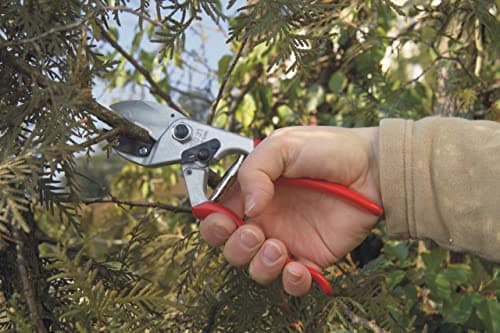 FELCO Pruning Shears (F 31) - High Performance Swiss Made One-Hand Anvil Garden Pruners
