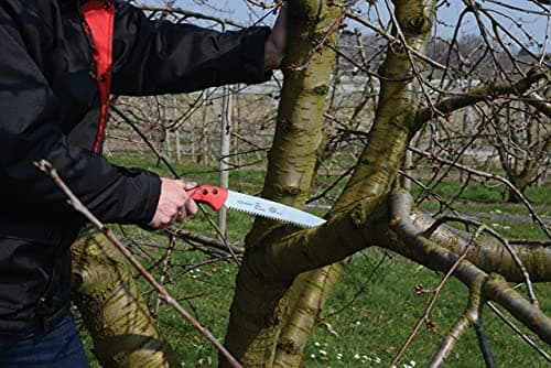 FELCO Pruning Saw (F 611) - Classic Tree Pull Stroke Pruner Saw w/ Carrying Sheath