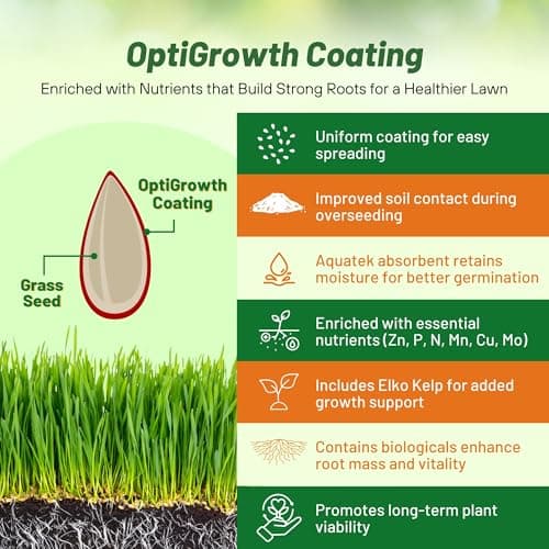 Outsidepride Legacy Fine Fescue Grass Seed Mix - 5 lbs. Shade & Sun Tolerant Blend of Hard Fescue, Chewings Fescue & Creeping Red Fescue with OptiGrowth Coating for Better Establishment