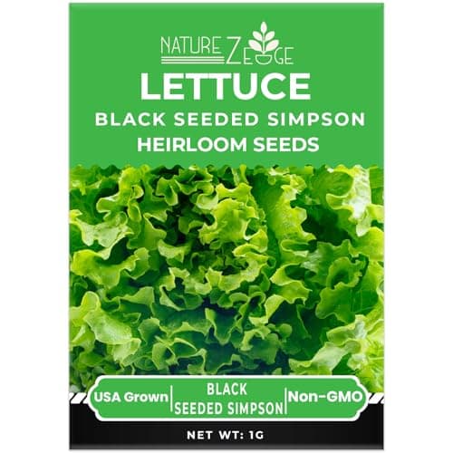 Lettuce Seeds for Planting, Red Romaine Lettuce, Bibb Butter Lettuce, Black Seeded Simpson, Green Ice Iceberg Lettuce, Non-GMO…