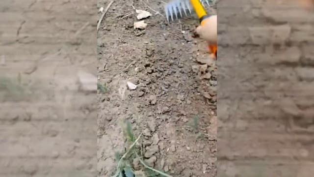 Gardening Hand Weeder Tools, 2024 New Weeding Artifact Uprooting Weeding Tool, Durable Manganese Steel Crevice Weeding Tool, Manual Multifunctional Weeders Gardening Tools for Garden Farm (5 Tines)