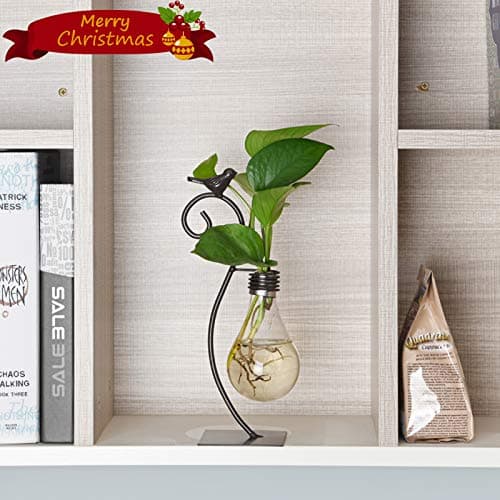 Marbrasse Desktop Glass Planter Hydroponics Vase,Planter Bulb Vase with Holder for Home Decoration,Modern Creative Bird Plant Terrarium Stand, for Plant Terrarium