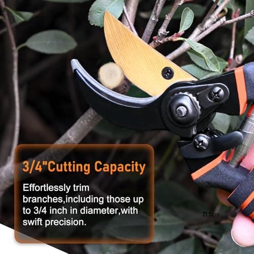 Pruning Shears for Gardening, 8.5" Premium SK5 Carbon Steel Garden Secateurs, Sharp Handheld Heavy Duty Garden Hedge Clippers Tools, Ultra Sharp Pruners with 3/4'' Cut Capacity Garden Scissors