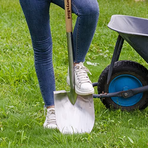 Round Point Gardening Shovel with Wood D-Handle, 40.98" Stainless Steel Beach & Snow Shovel
