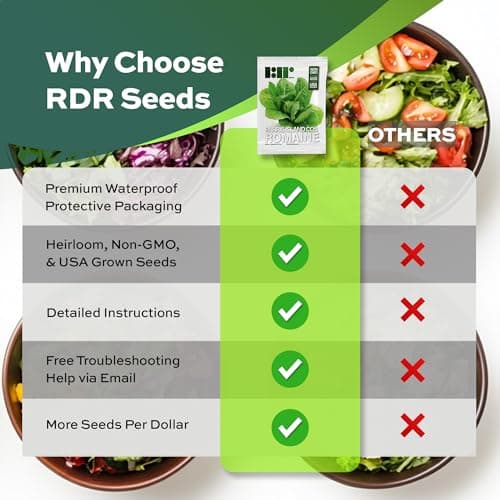 3000 Parris Island Cos Romaine Lettuce Seeds - 4+ Grams - Heirloom Non-GMO USA Grown Premium Vegetable Seeds for Planting - by RDR Seeds