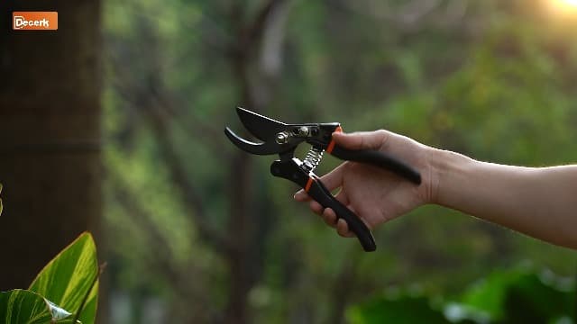 Pruning Shears for Gardening - DECERK 8.5" Professional Bypass Garden Scissors & Clippers for Branch Trimming, Super Sharp SK5 Blade, Ergonomic Handle, Gardening Gift Women Men - 2025 Heavy Duty Tools