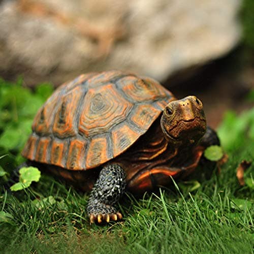 Danmu Polyresin Tortoise Statue, Outdoor Statue, Yard Decor for Home and Fairy Garden (L 12 9/10" x 9 2/5" x 5 1/2") 1 Pack