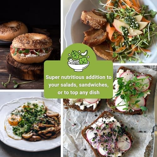 Sow Right Seeds - Microgreens Seed Sample Pack - 10 Packets of Healthy Superfoods to Sprout and Grow Indoors on Your Kitchen Counter - Broccoli, Cress, Sunflower, Arugula, Kale, Radish, Pea, and More