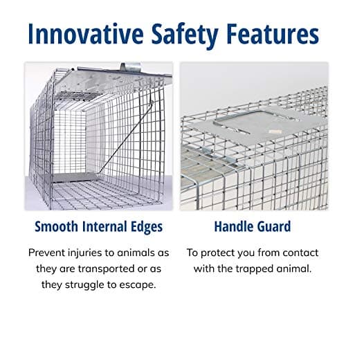 HAVAHART 1079SR Large 1-Door Humane Catch and Release Live Animal Trap Cage - Live Raccoon Trap, for Bobcats, Beavers, Dogs, & More