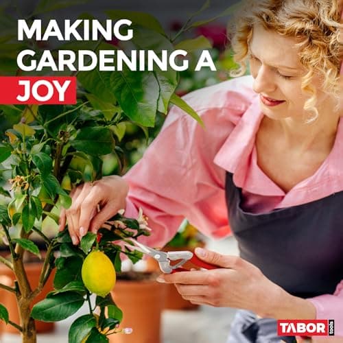 TABOR TOOLS Pruning Shears, Florist Scissors, Multi-Tasking Garden Snips for Arranging Flowers, Trimming Plants and Harvesting Herbs, Fruits or Vegetables. K17A. (Straight, Stainless Steel Blades)