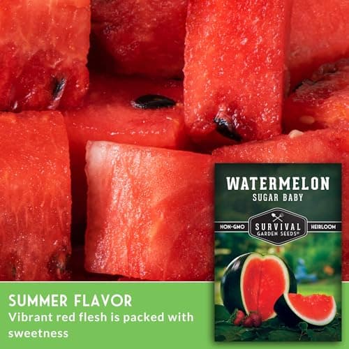 Survival Garden Seeds Sugar Baby Watermelon Seed for Planting - 1 Packet with Instructions to Plant and Grow Little Round Watermelons in Your Home Vegetable Garden - Non-GMO Heirloom Variety