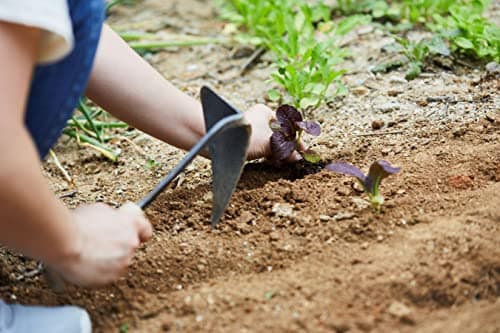 Premium Quality Hand plow Hoe with Safety Cover for Easy Gardening, Weeding and Farming Made by Korean Master Blacksmith