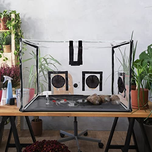 Large Still Air Box Mushroom Mycology Fume Hood Propagation StationsGrow Kit Mushroom Grow Bags Your Monotub Kit Mushroom Planting BagTent for Spores Horticulture Supplies （31.5 * 20.5 * 20.5inch）
