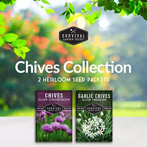 Survival Garden Seeds Chive Seed Collection - Common & Garlic Chives – 2 Packets of Non-GMO Heirloom Open-Pollinated Herb Seed Varieties to Plant in Your Vegetable Garden – Seed Saver Instructions