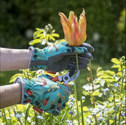 Burgon & Ball Flora & Fauna Design Flexible and Durable Ladies Premium Gardening Pruning Gloves one size fits all