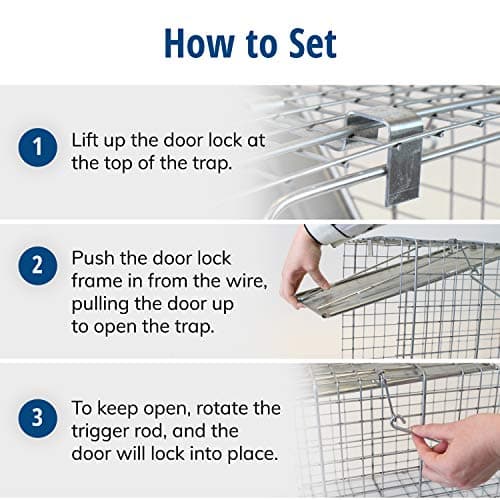 HAVAHART 1079SR Large 1-Door Humane Catch and Release Live Animal Trap Cage - Live Raccoon Trap, for Bobcats, Beavers, Dogs, & More