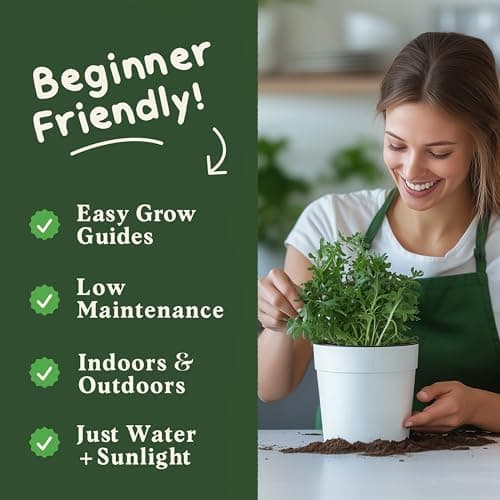 Organic Arugula 'Slow Bolt' Seeds for Planting Indoor and Outdoor, Non-GMO and USDA Certified Herb Seed Packet for Hydroponic Garden Indoor or Planting Outdoors (Slow Bolt Arugula)