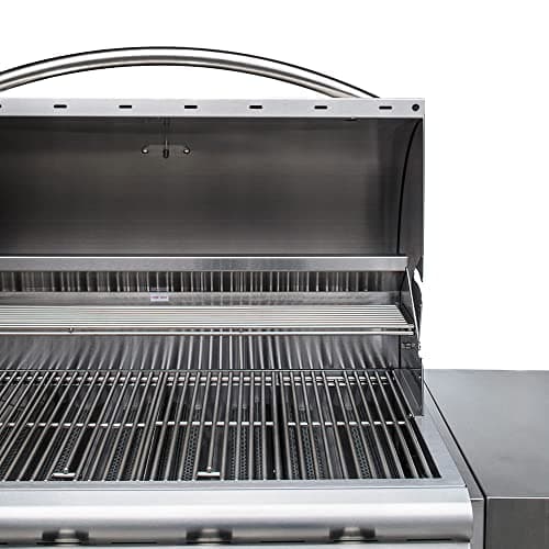 Blaze Prelude LBM 32-Inch 4-Burner Built-in Natural Gas Stainless Steel Grill with Flame-Stabilizing Grids, Heat Zone Separators, Drip Tray and Hood
