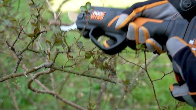 Worx 20V Worx NITRO Pruning Shear/Lopper WG330 - (Battery & Charger Included)