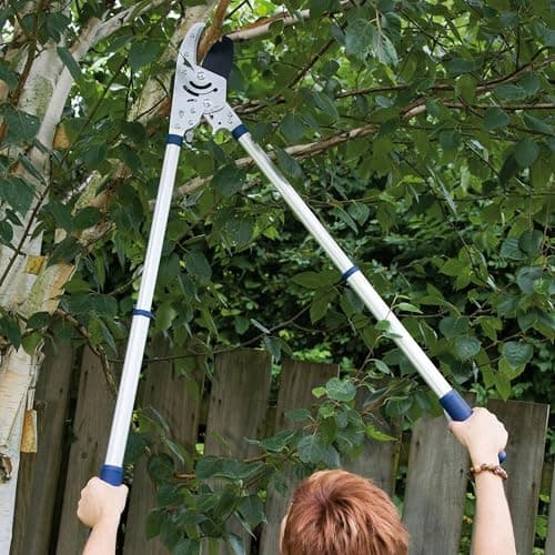 Spear & Jackson 8290RS Razorsharp Heavy Duty Telescopic Ratchet Anvil Loppers, Multicoloured