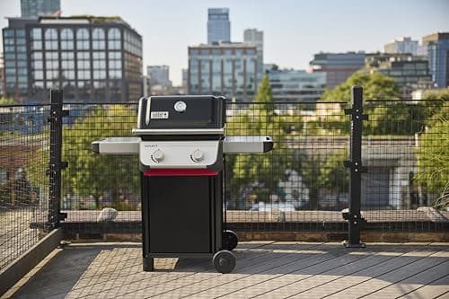 Weber SPIRIT 2-Burner Grill E-210 Liquid Propane Black