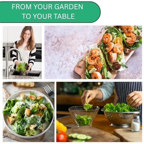 Summer Bibb Heirloom Lettuce Seeds for Planting - Over 2,700 Non-GMO Seed Pack for Growing Indoors, Outdoors, or as Hydroponic Seeds - Beginner-Friendly Green Leaf Lettuce Seed
