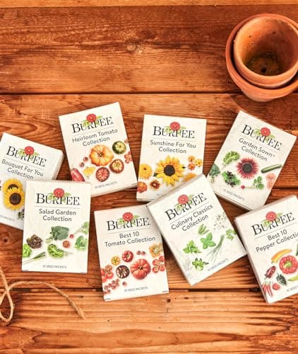 Burpee Best 10 Non-GMO Planting Tomato Seeds for Garden Gifts (1 Pack)