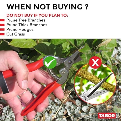 TABOR TOOLS Pruning Shears, Florist Scissors, Multi-Tasking Garden Snips for Arranging Flowers, Trimming Plants and Harvesting Herbs, Fruits or Vegetables. K17A. (Straight, Stainless Steel Blades)