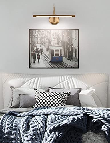 JOOSENLUX Modern Brass Picture Light Hardwired - 16.54'' for Wall Painting and Artwork Display - 7W LED Wall Lights(45W Eqv.) - Warm White 3000K - Hard Wired Connection with Swing Arm