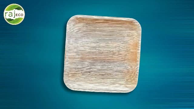 Raj Eco Compostable Palm Leaf Plates Like Bamboo Plates Disposable - 8 Inch Square 50 party plates, Natural wooden, Eco-Friendly, fancy Biodegradable & Disposable Dessert appetizer Plates