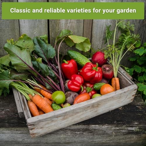 Sow Right Seeds - Classic Vegetable Garden Seed Collection for Planting - Non-GMO Heirloom Broccoli, Cabbage, Carrot, Cucumber, Kale, Lettuce, Tomato, Peppers, Zucchini, and More