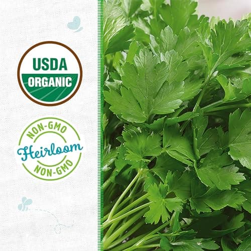 Seed Packet - Parsley 'Italian Large Leaf' 420mg