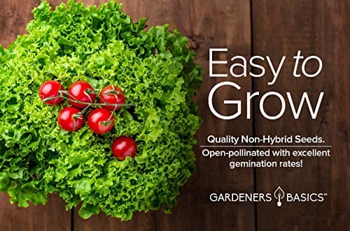 Gardeners Basics, Romaine Lettuce Seeds for Planting - Parris Island Cos Heirloom, Non-GMO Vegetable Variety- 2 Grams Seeds Great for Spring, Summer, Fall, Winter Garden and Hydroponics