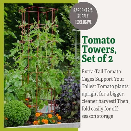 Gardener’s Supply Company Extra Tall Heavy-Guage Square Tomato Cages | Easy Fold Plant Supports & Vegetable Garden Stakes | 14.25" x 14.25" x 65" - Red (Set of 2)