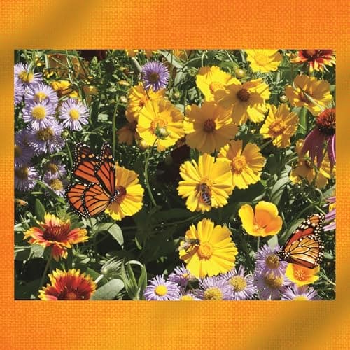Wildflower Pollinator Mix from Earth Science, 3-in-1 Mix with Premium Wildflower Seed, Plant Food and Soil Conditioners, Non-GMO, for Bees, Hummingbirds, Butterflies, Pollinators 6 lb