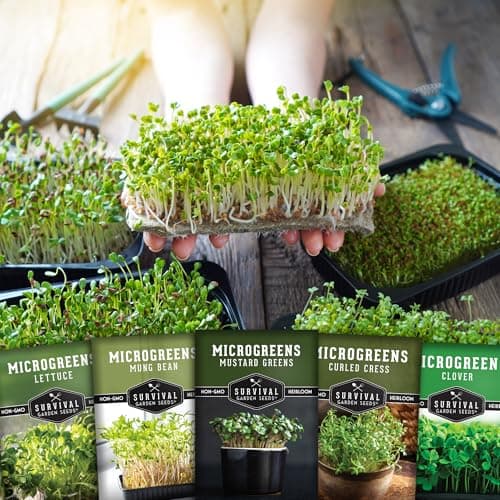 Survival Garden Seeds Microgreens 5 Pack (Seeds Only) - Plant, Sprout, and Grow a Mix of Microgreen Plants in Your Kitchen or on Your Windowsill - Lettuce, Curled Cress, Mung Bean, Mustard, Clover