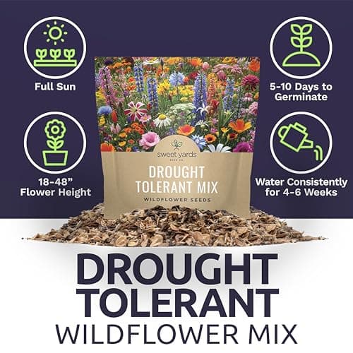 Drought Tolerant Wildflowers Mix – Extra Large Packet – Over 7,500 Open Pollinated Non-GMO Seeds – 21 Different Dryland Species