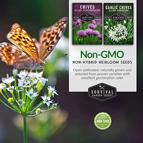 Survival Garden Seeds Chive Seed Collection - Common & Garlic Chives – 2 Packets of Non-GMO Heirloom Open-Pollinated Herb Seed Varieties to Plant in Your Vegetable Garden – Seed Saver Instructions
