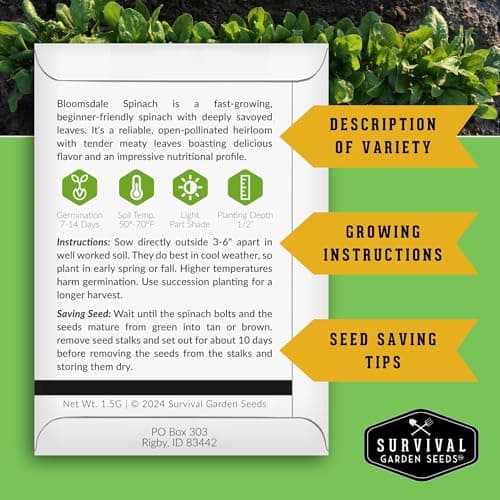 Survival Garden Seeds - Bloomsdale Spinach Seed for Planting - Packet with Instructions to Plant and Grow Delicious Spinach Greens in Your Home Vegetable Garden - Non-GMO Heirloom Variety - Plant Seed