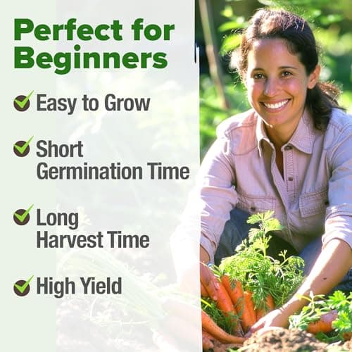 HOME GROWN Tendersweet Carrots Pack (Daucus carota subsp. sativus) - 3000 𝗡𝗢𝗡-𝗚𝗠𝗢 𝗨𝗦𝗔-𝗦𝗢𝗨𝗥𝗖𝗘𝗗 Heirloom Seeds for Planting Outdoors - High-Germination Vegetable for a Lush Garden